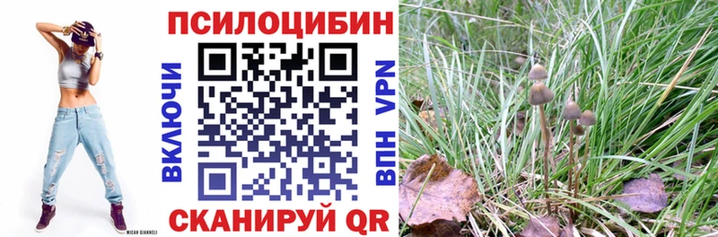 Галлюциногенные грибы GOLDEN TEACHER  дарк нет состав  Переславль-Залесский 